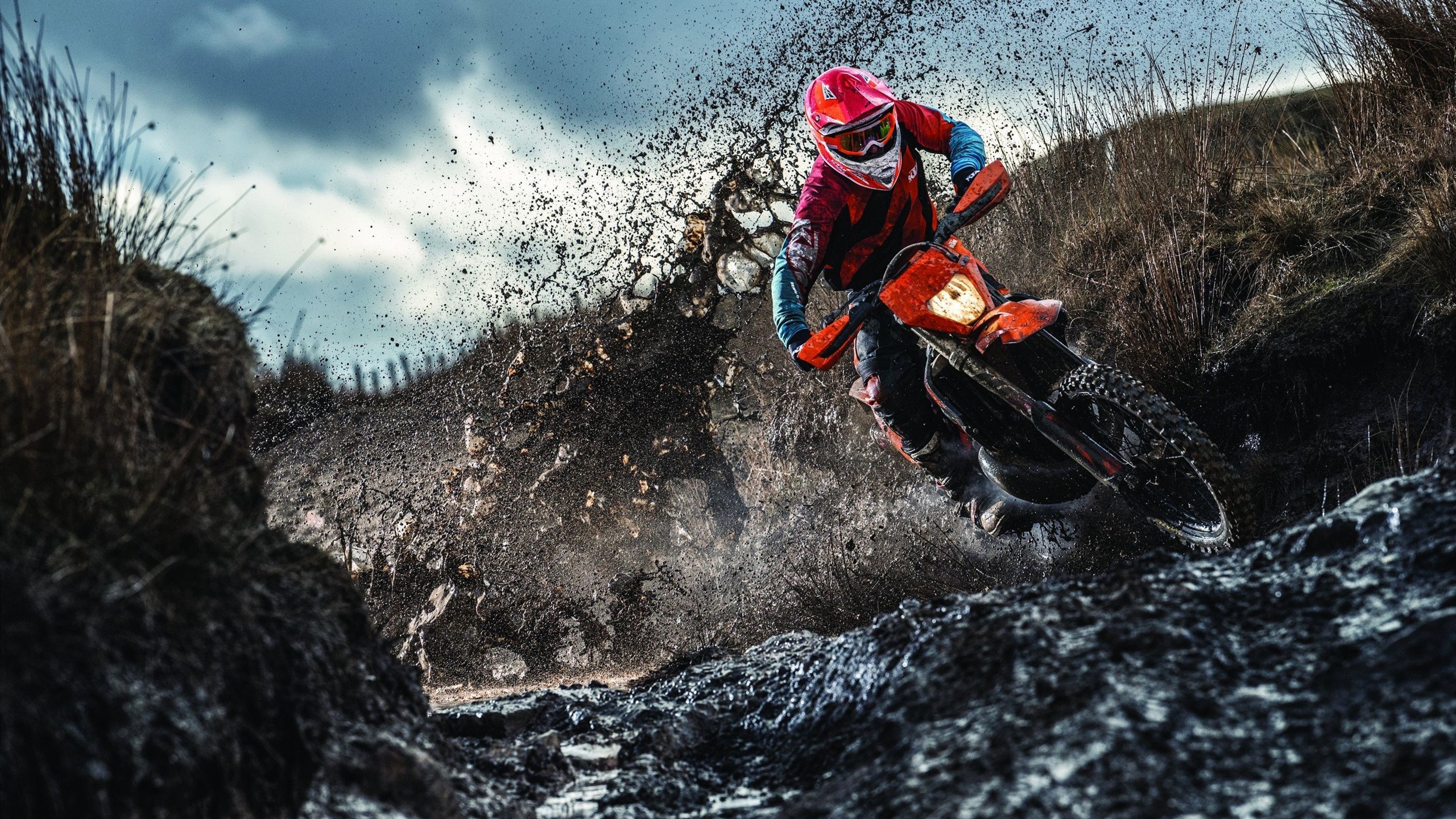 澳大利亚袋鼠队的前锋线冲击力，持续压制对手，澳大利亚袋鼠问题