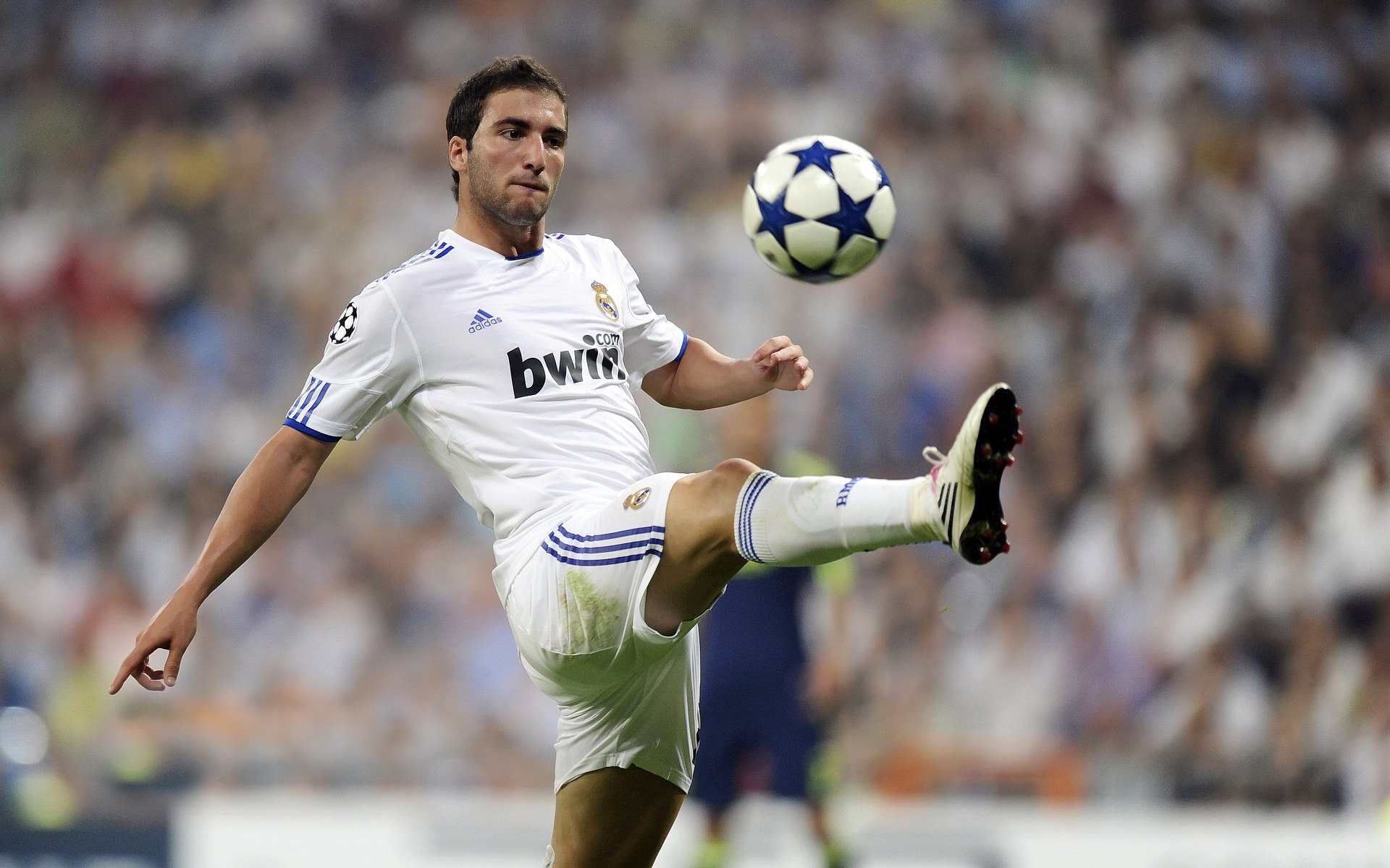 贝尔哈德·福特：通过全方位的技术贡献，为全黑队铺平胜利之路